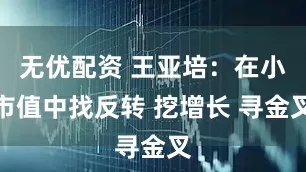 无优配资 王亚培：在小市值中找反转 挖增长 寻金叉